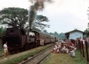 Jalur Kereta Api Legendaris Rangkasbitung-Labuan Bakal Hidup Lagi
