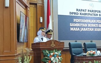 bupati serang ratu zakiyah