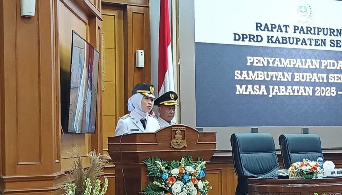Inilah 10 Pekerjaan Ratu Zakiyah Usai Dilantik Jadi Bupati Serang
