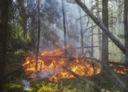 kebakaran hutan di kanada meluas