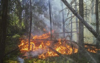 Kebakaran Hutan di Kanada Meluas, 26.000 Warga Dievakuasi