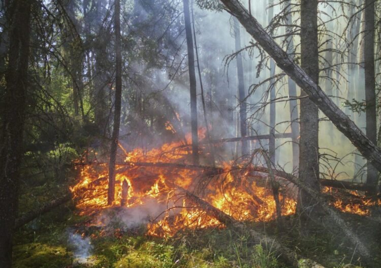kebakaran hutan di kanada meluas