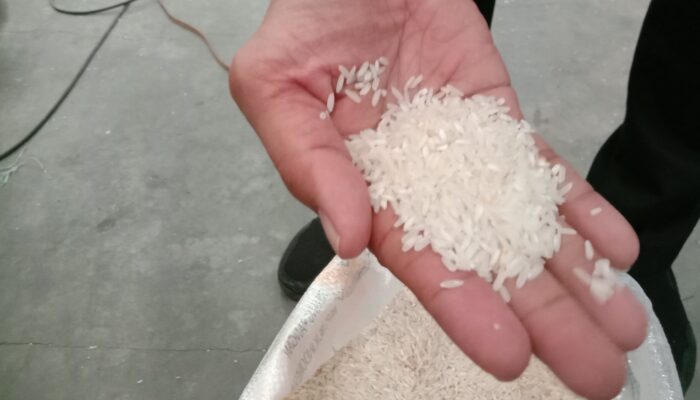 131.857 Warga Kabupaten Tangerang Bakal dapat Beras Bantuan BULOG