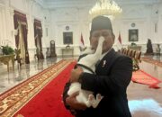 Gila, Kucing Presiden Dikawal Polisi karena Dianggap sebagai Properti Negara