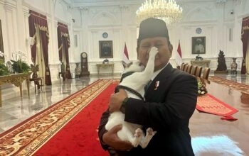 Gila, Kucing Presiden Dikawal Polisi karena Dianggap sebagai Properti Negara