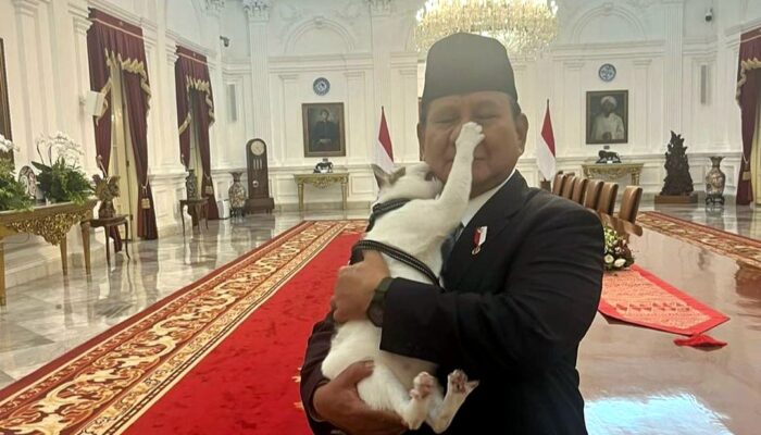 Gila, Kucing Presiden Dikawal Polisi karena Dianggap sebagai Properti Negara