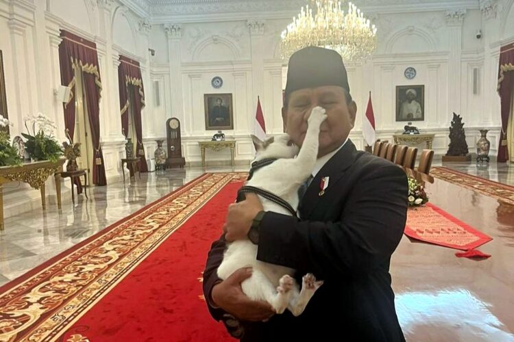 bobby kertanegara kucing prabowo