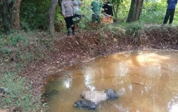 penemuan sosok mayat mengambang di empang di ciputat tangsel
