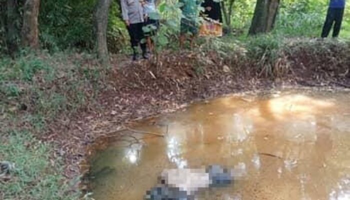 Sosok Mayat Ditemukan Ngambang di Empang di Ciputat Tangsel