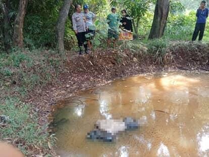 penemuan sosok mayat mengambang di empang di ciputat tangsel