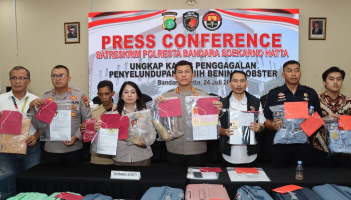 Polresta Bandara Soetta Kembali Gulung Sindikat Bisnis Benih Lobster Ilegal Senilai Rp38 Miliar