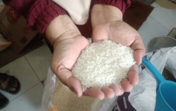 beras oplosan