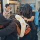 pelajar yang berasal dari Kabupaten Tangerang