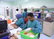 Plasma Darah Kini Bisa Jadi Bahan Baku Obat