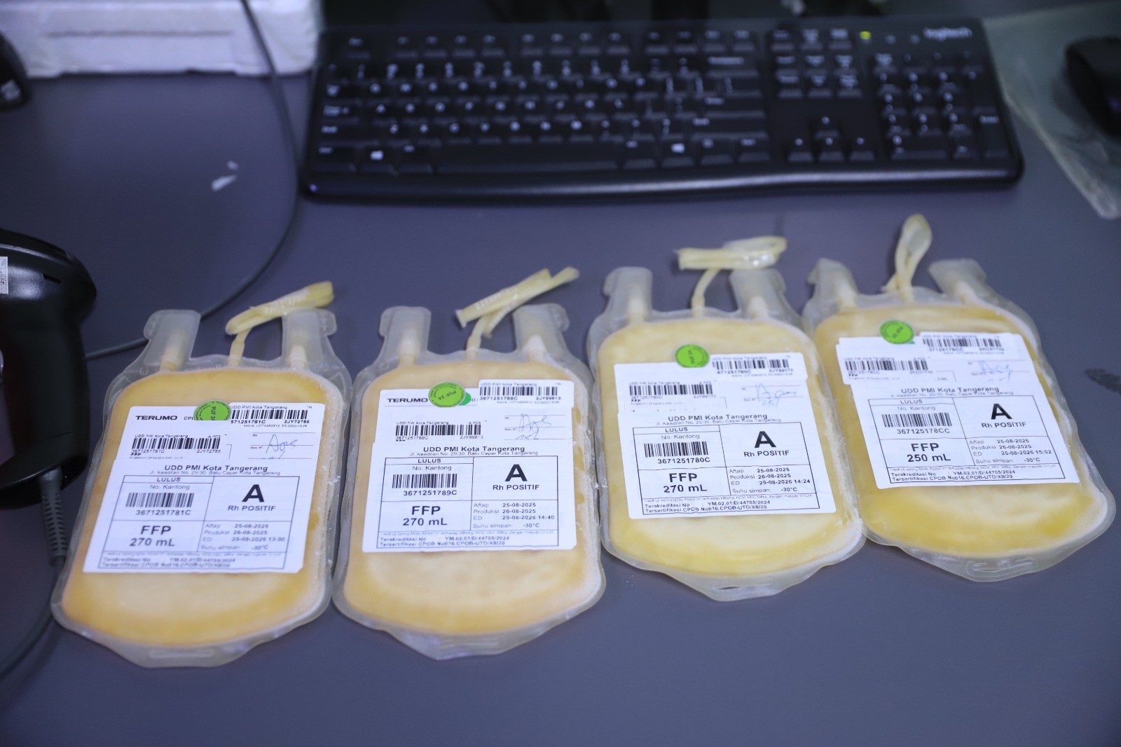 Plasma Darah