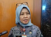 Kasusnya Menurun, Warga Tangsel Diminta Tetap Waspada DBD