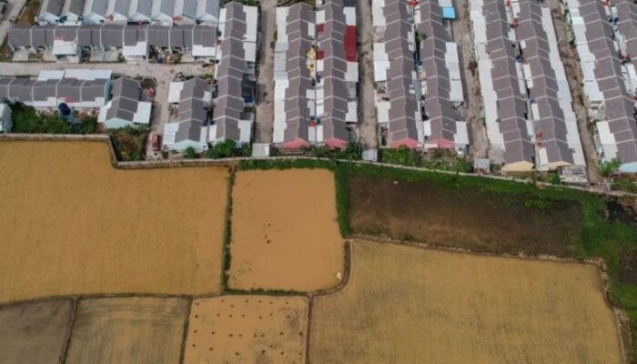 Lahan Pertanian di Banten Menyusut Ribuan Hektar