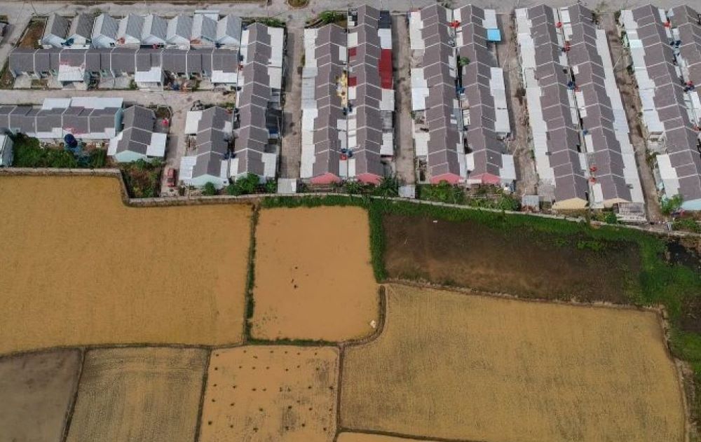 Lahan Pertanian di Banten Menyusut Ribuan Hektar
