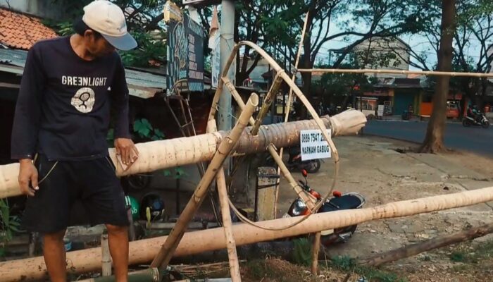 HUT RI Ke-80, Penjual Batang Pinang di Tangerang Tetap Laku