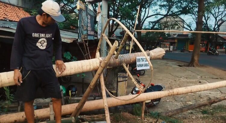 penjual batang pinang