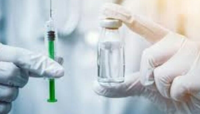 Banyak Warga Baduy Digigit Ular, Dinkes Lebak Sediakan Ratusan Serum Anti Bisa Ular