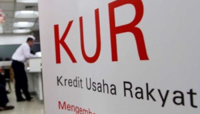 HIPMI Dukung Kredit KUR untuk UMKM hingga Rp 20 Miliar
