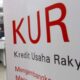 HIPMI Dukug Kredit KUR untu UMKM hingga Rp 20 Miliar