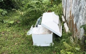 Peti Jenazah di Kebun Karet Bikin Heboh Warga Lebak
