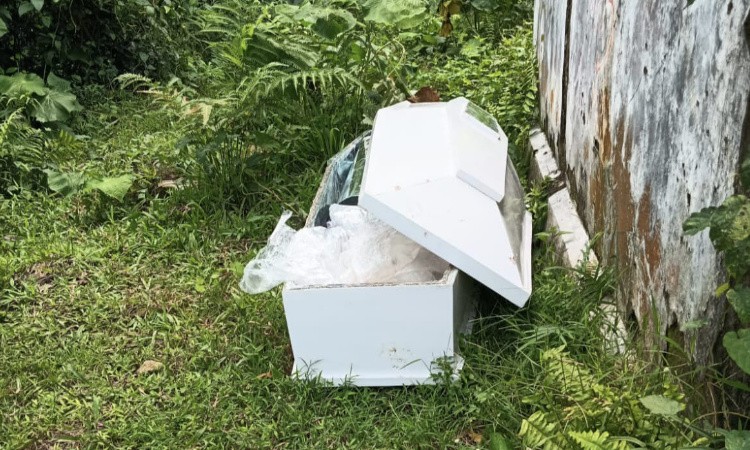 Peti Jenazah di Kebun Karet Bikin Heboh Warga Lebak
