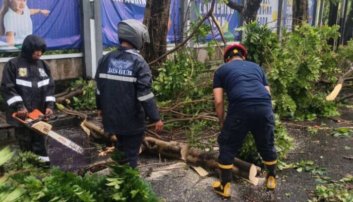 Sejumlah Kendaraan Rusak Tertimpa Pohon Tumbang di Kota Tangerang