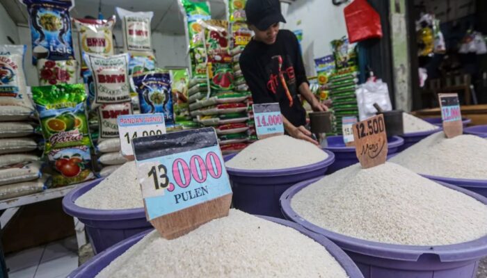 Pemprov Banten Klaim Harga Beras di Bawah HET