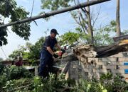 Taman Cibodas Paling Parah Terdampak Hujan Deras dan Angin Kencang