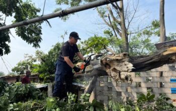 Taman Cibodas Paling Parah Terdampak Hujan Deras dan Angin Kencang