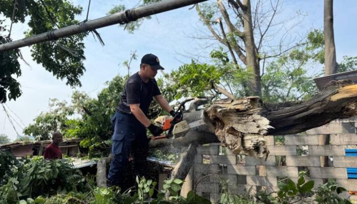 Taman Cibodas Paling Parah Terdampak Hujan Deras dan Angin Kencang