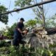 Taman Cibodas Paling Parah Terdampak Hujan Deras dan Angin Kencang