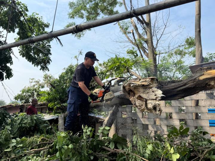 Taman Cibodas Paling Parah Terdampak Hujan Deras dan Angin Kencang