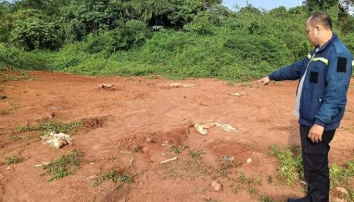 Dua Tengkorak Berkain Kafan Gegerkan Warga Sindang Jaya Tangerang