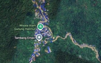 Kawasan Gunung Halimun Salak Kembali Dipenuhi Gurandil