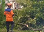 Akibat Angin Kencang, Asrama Polisi Tertimpa Pohon