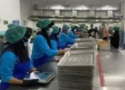 Dua Dapur SPPG di Lebak juga Stop Memasak MBG