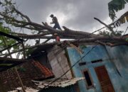 Pohon Besar Tumbang Timpa Dua Rumah Warga Bojongmengteng