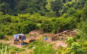 200 Ribu Hektare Lahan Hutan di Banten Kritis