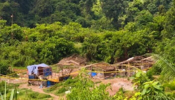 200 Ribu Hektare Lahan Hutan di Banten Kritis