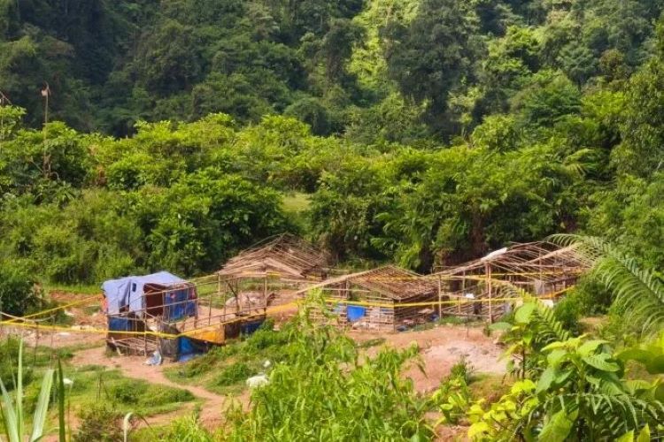 200 Ribu Hektare Lahan Hutan di Banten Kritis