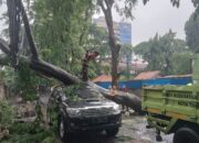 Pemkot Tangerang Asuransikan 33.000 Pohon