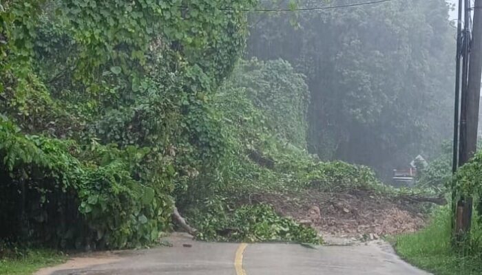 Tebing Longsor Timbun Akses Jalan Bayah-Cibareno