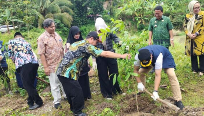 Lahan Bekas Tambang di Cilegon Ditanami Sejuta Pohon