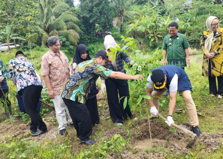Lahan Bekas Tambang di Cilegon Ditanami Sejuta Pohon