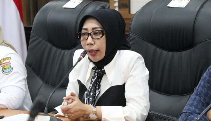 Anggota Dewan Dorong Perlindungan Hak Mantan Istri dan Anak Pasca Perceraian