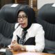 Anggota Dewan Dorong Perlindungan Hak Mantan Istri dan Anak Pasca Perceraian